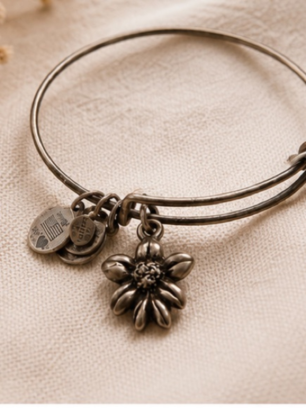 Alex and Ani Apple Blossom Charm Bangle – Rafaelian Silver Finish